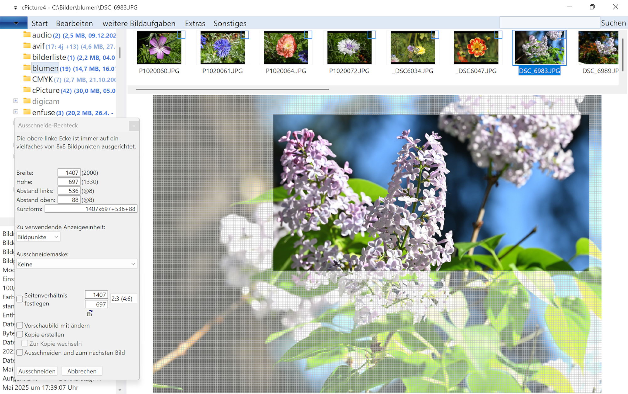 cPicture lossless JPEG crop